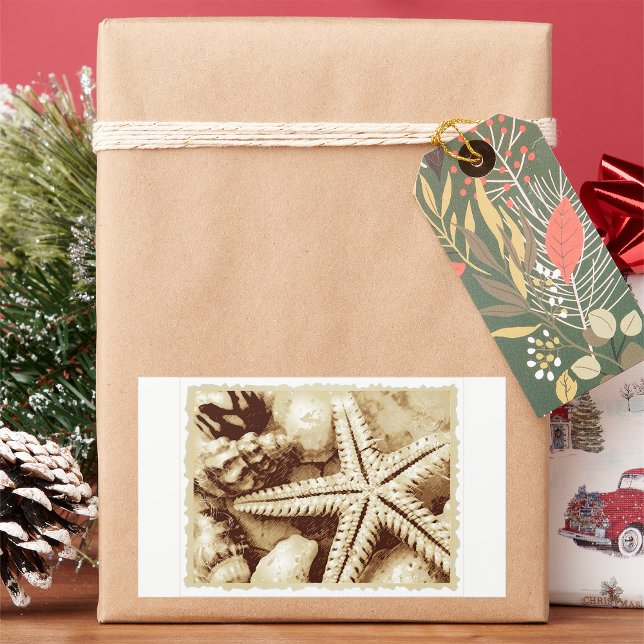 Stickers Starfish and Seashells (Créateur téléchargé)