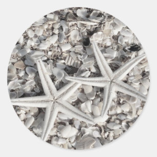 Stickers Starfish Couple sur Beach