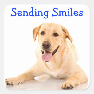 Stickers Sticker pour chien Smile Labrador Retriev