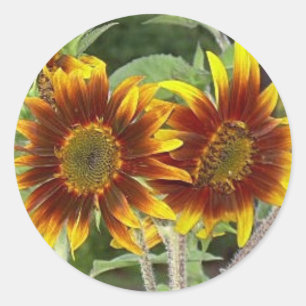 Stickers SunFlower Duo