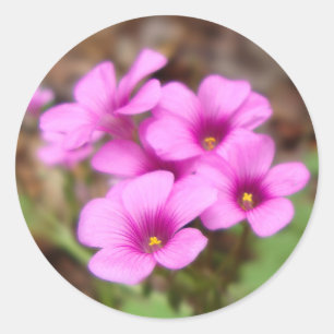 Stickers sur ma porte