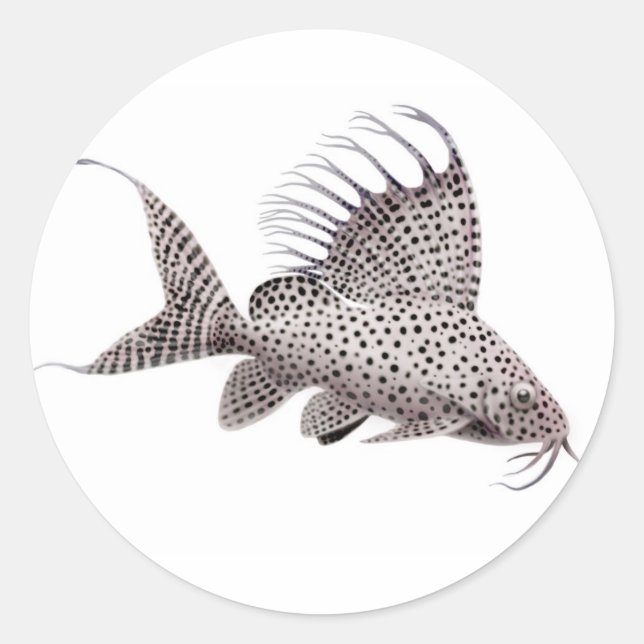 Stickers Synodontis Catfish (Devant)