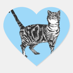 Stickers Tabby Cat Blue Cute chats animaux de comp