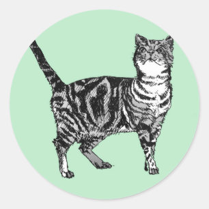 Stickers Tabby Cat Mint Cute cats animaux ensemble