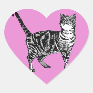 Stickers Tabby Cat Pink Cute chats animaux Ensembl