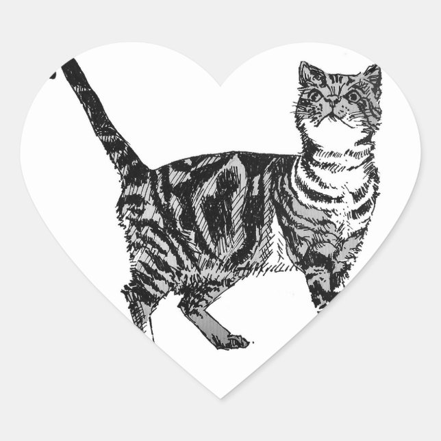 Stickers Tabby Chat Cute Animaux Chats Ensemble de (Devant)