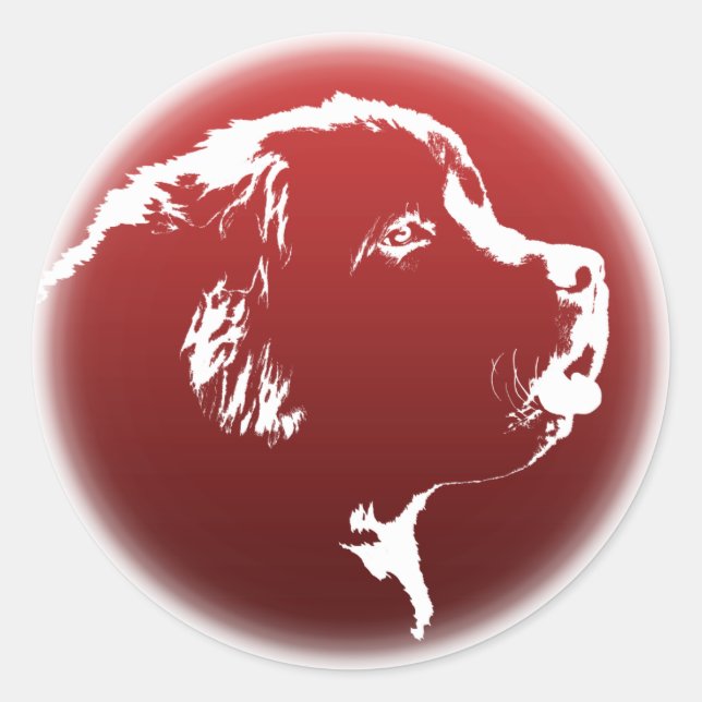 Stickers Terre-Neuve Stickers Chien de Terre-Neuve (Devant)