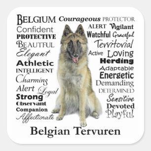 Stickers Tervuren belge