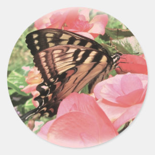 Stickers Tiger Swallowtail