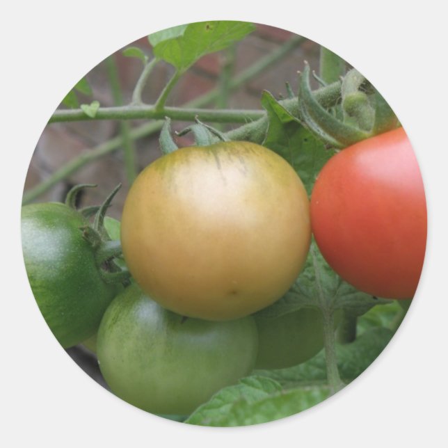 Stickers Tomates Légères De La Circulation (Devant)