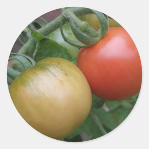 Stickers Tomates rouges et orange