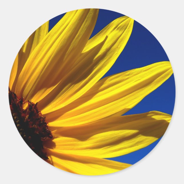 Stickers Tournesol (Devant)