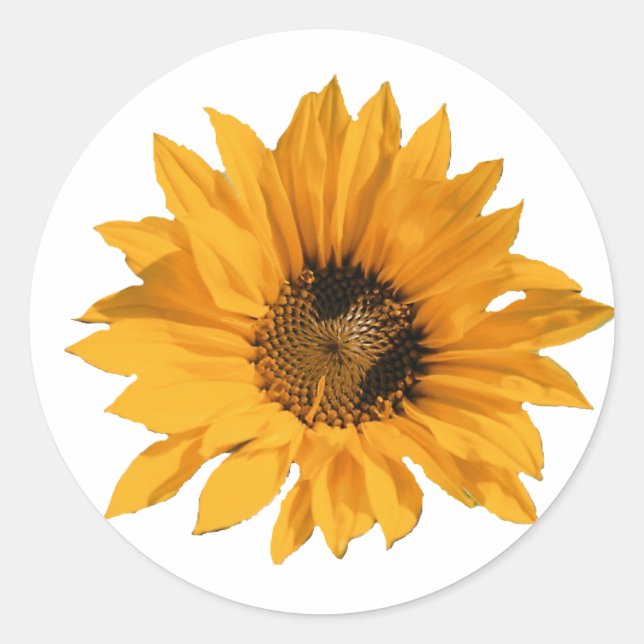 Stickers Tournesol (Devant)