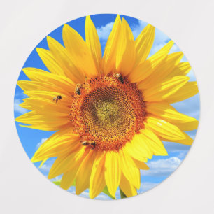 Stickers Tournesol aux abeilles