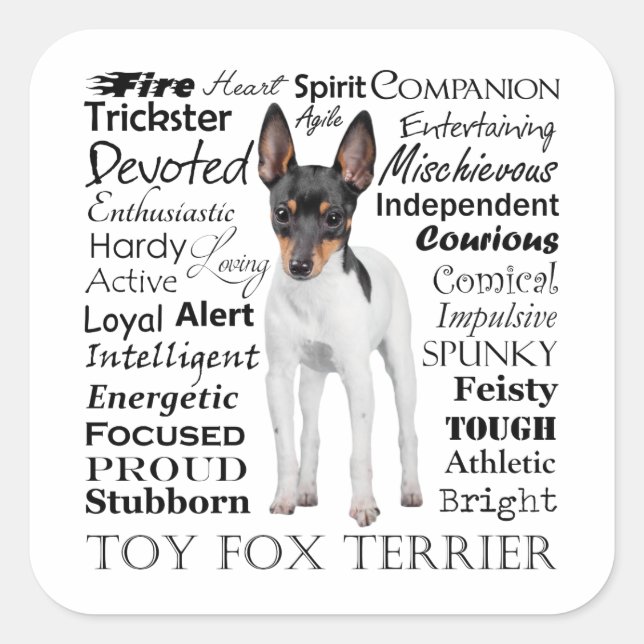Stickers Toy Fox Terrier Traits (Devant)