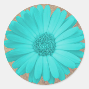 Stickers Turquoises Rustiques Gerber Daisy Round S