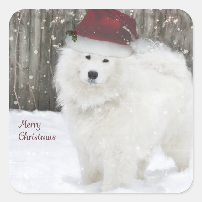 Stickers Vacances Samoyed—20 Carrés Arrondis (Devant)