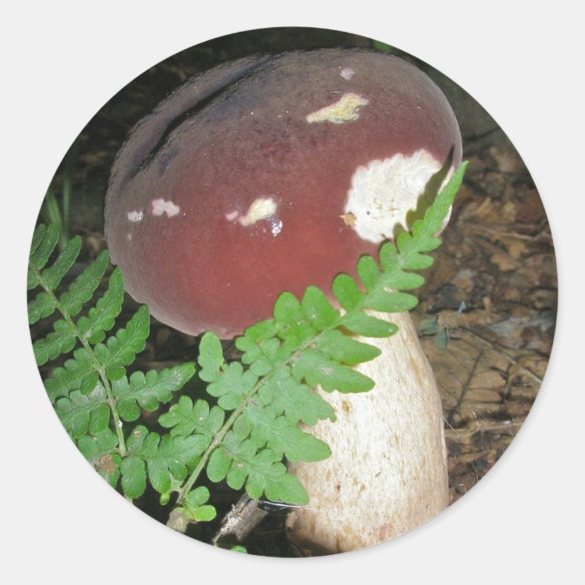Stickers Velvet Mushroom (Devant)