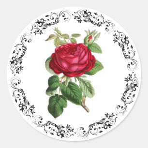 Stickers verts Rose Bourgogne