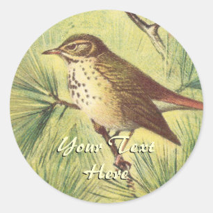 Stickers vintage Hermit Thrush