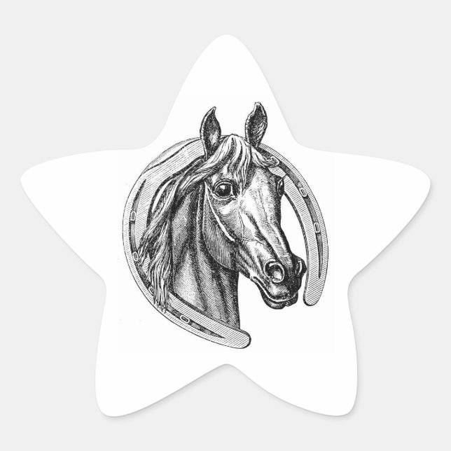 Stickers vintage Horse et Horseshoe Star (Devant)
