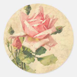 Stickers vintage Shabby Chic Rose Rose