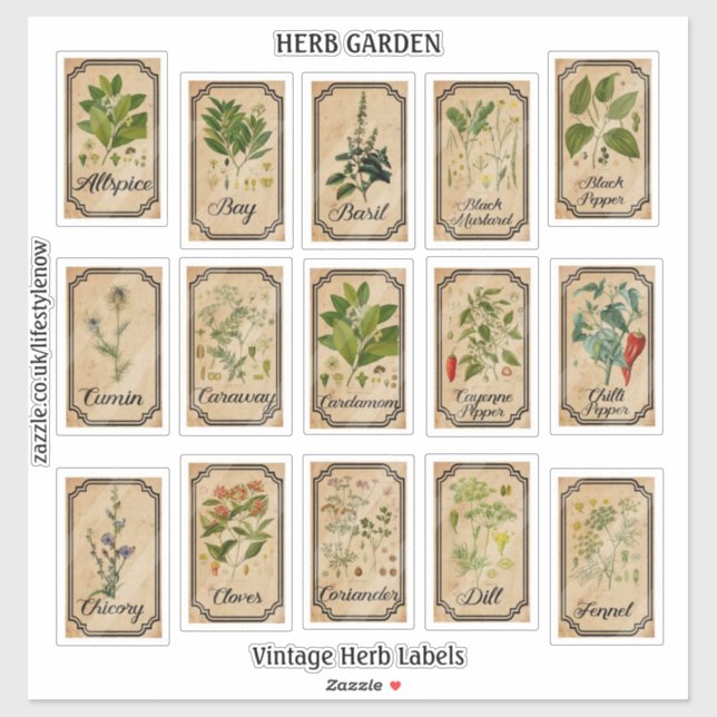 Stickers Vinyl Coupe - Étiquettes Herbes Vintages (Feuille)