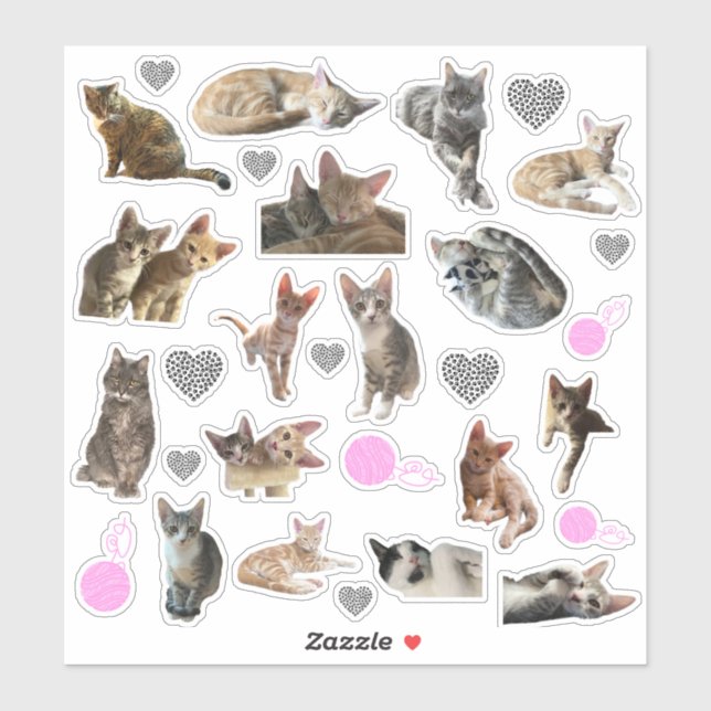 Stickers Vinyle Kiss-Cut Photo Chat (Feuille)
