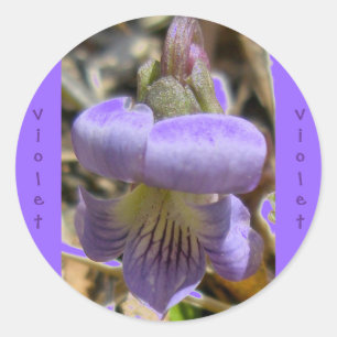 Stickers Violet #1