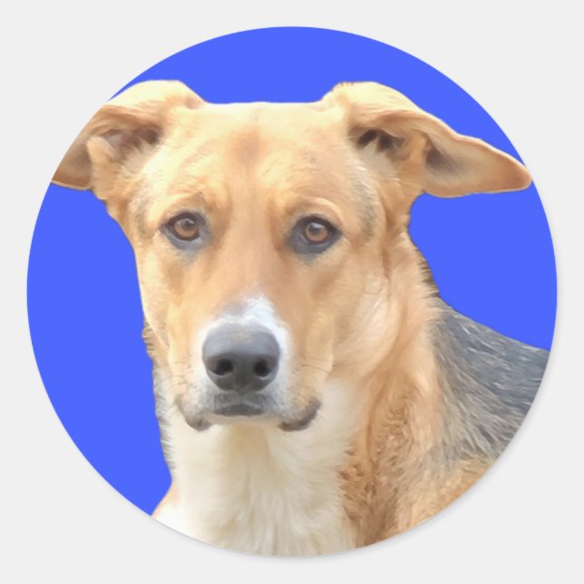 Stickers Visage Doggy (Devant)