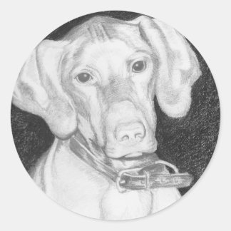 Stickers Vizsla