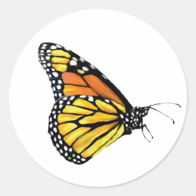 Stickers Vue latérale Monarque (Devant)