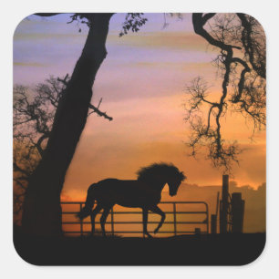 Stickers Whimsical Country Horse