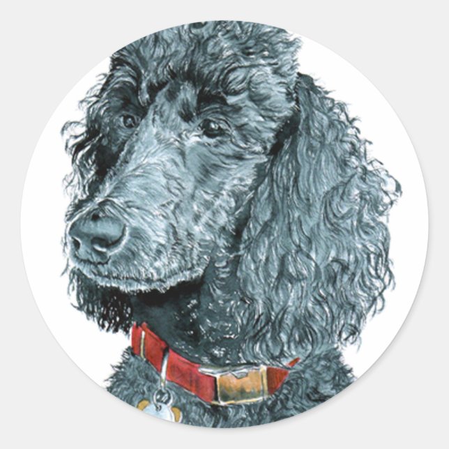 Stickers Whitney Black Poodle (Devant)
