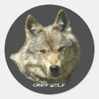 Stickers WILY GRAY WOLF Wildlife