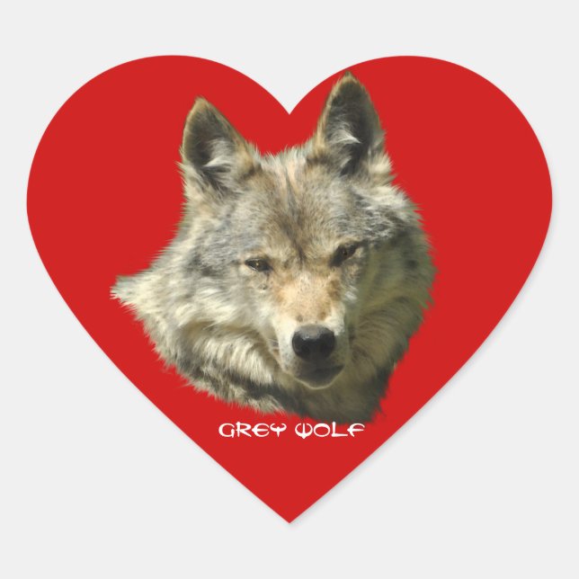 Stickers WILY GRAY WOLF Wildlife (Devant)