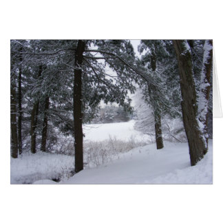 Sticky Snow 132 ~ carte