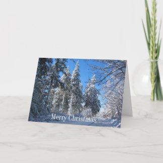Sticky Snow 32 ~ carte