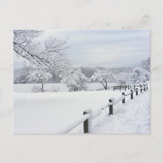 Sticky Snow 7 ~ carte postale (Devant)