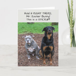 Sticup lapin de Pâques Carte de Pâques