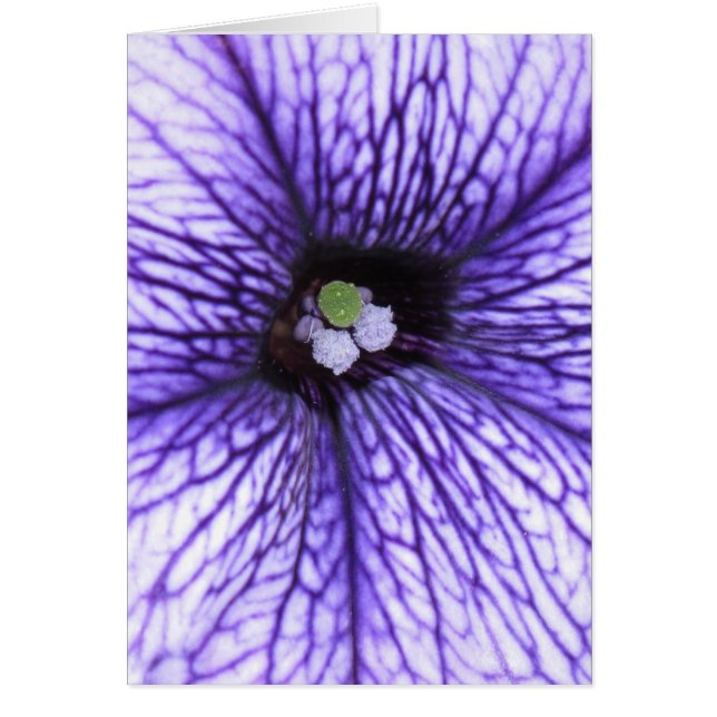 stigmatisation (Devant)