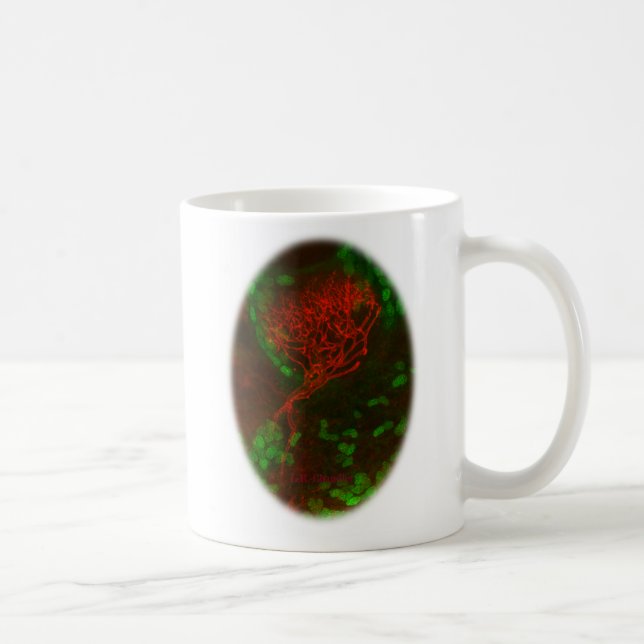 Stimulez vos neurones ! tasse de café (Droite)