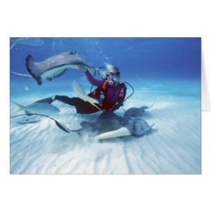 Stingray City, Grand Cayman, îles Caïmans,