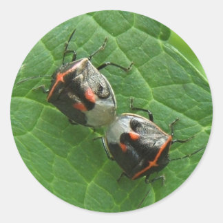 Stinkbugs ~ autocollant
