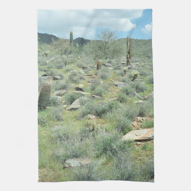 Stones à pas Désert Photo Serviettes de cuisine (Vertical)