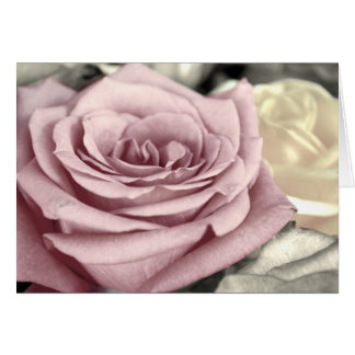 ~SToP aND SMeLL THe Roses~