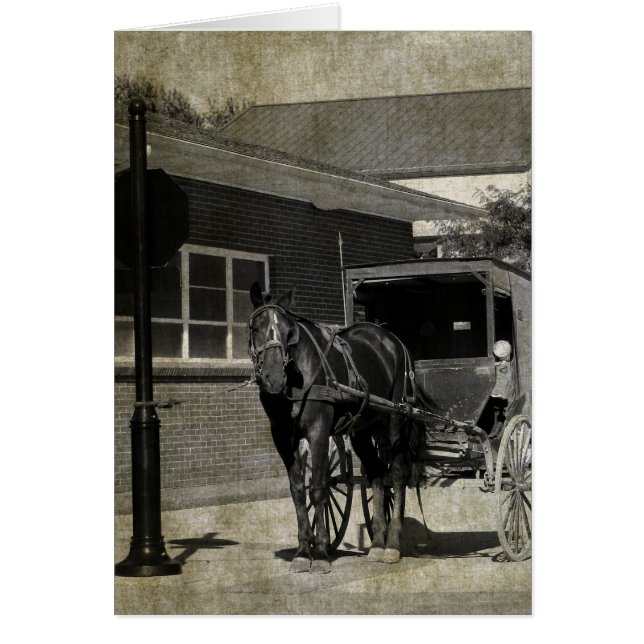 Stop for A Spell, Amish Horse at Stop Sign (Devant)