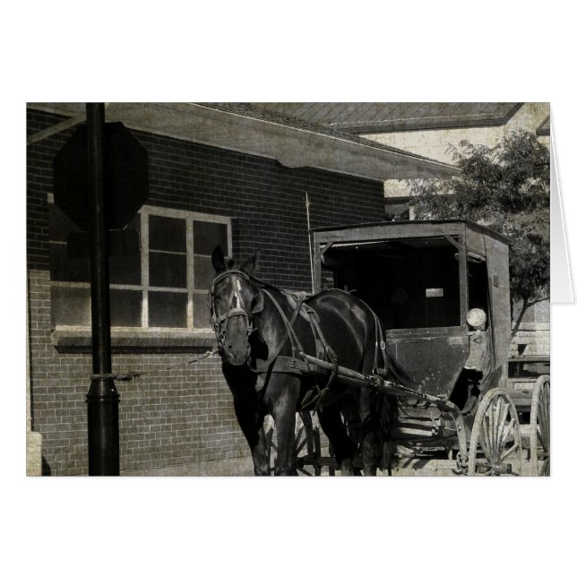 Stop for A Spell, Amish Horse at Stop Sign (Devant horizontal)