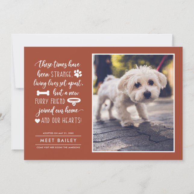 Strange Times New Pet Photo Faire-part | Orange (Devant)