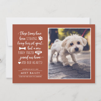 Strange Times New Pet Photo Faire-part | Orange